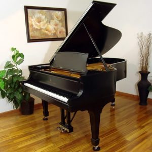 1917 Steinway A3 Grand Piano Traditional Ebony Restored