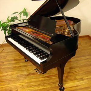 1925 Steinway M Grand Piano Ebony Traditional Style Restored