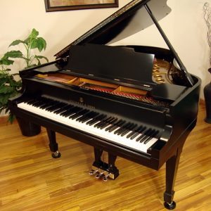 1924 Steinway M Grand Piano Ebony Traditional Style Restored
