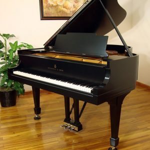 1925 Steinway M Grand Piano Ebony Traditional Style Restored