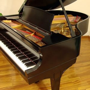 1922 Steinway O Grand Piano Ebony Traditional Style Restored